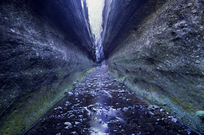 Carnarvon side gorge