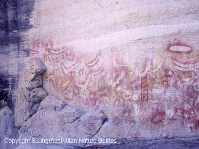 Art Gallery, Carnarvon Gorge.