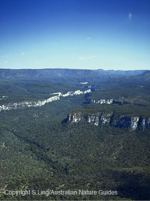 Carnarvon-gorge-aerial2