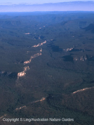 Carnarvon-gorge-aerial3