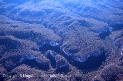 Carnarvon-gorge-aerial4