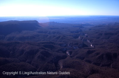 Carnarvon-gorge-aerial5