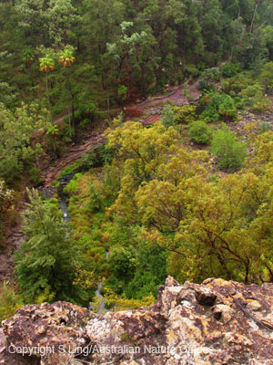 Carnarvon_creek