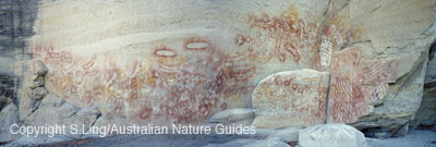 Carnarvon_gorge_AG