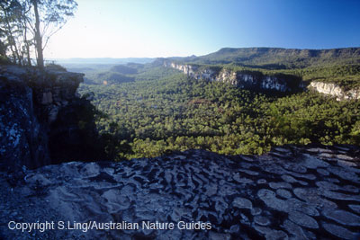 carnarvon-gorge-bluff2
