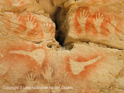 carnarvon-gorge-cathedral