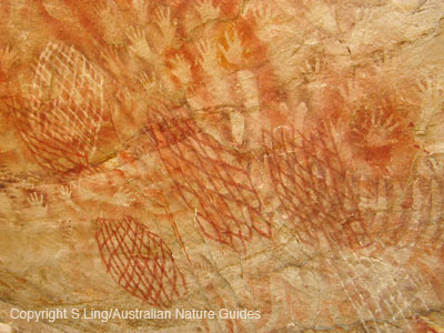 carnarvon-gorge-cathedral2