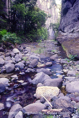carnarvon-sidegorge