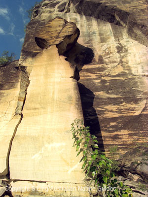 carnarvon-sidegorge2