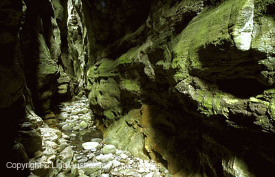 carnarvon-warrumbah2