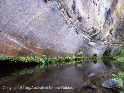 carnarvon_big_bend