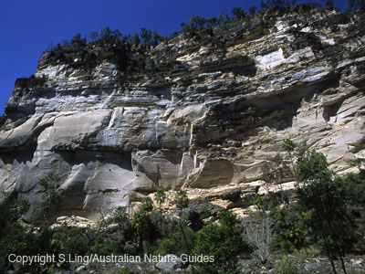 carnarvon_cliffs_17-18
