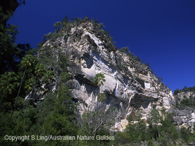 carnarvon_gorge_17-18