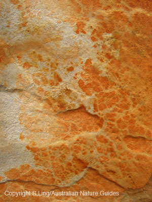 sandstone-9