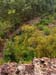 Carnarvon Gorge, 