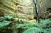 Amphitheatre, Carnarvon Gorge