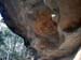 Baloon Cave,Carnarvon Gorge