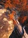 Debris and Boulders, Carnarvon Gorge.
