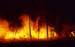 carnarvon gorge, bushfire.