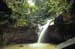 Moss Garden, Carnarvon Gorge