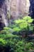 Wards Canyon, Carnarvon Gorge