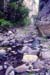 carnarvon gorge, sidegorge