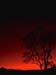carnarvon gorge, sunset.