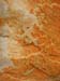 sandstone, Carnarvon Gorge.